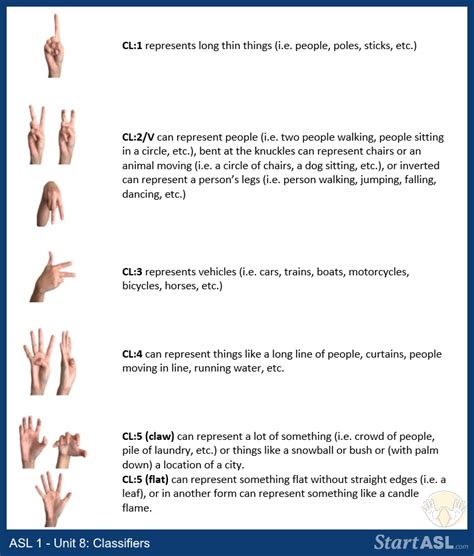 in asl classifiers are similar to __________
